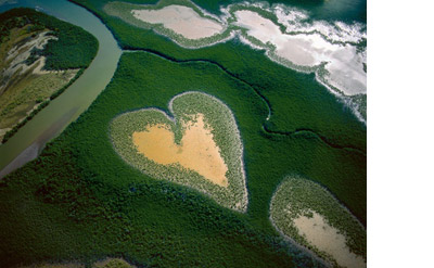 La Terre vue du Ciel par Yann ARTHUS-BERTRAND la santé dasn son environnement