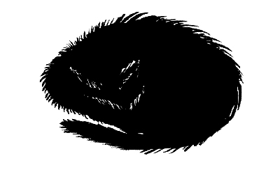 la couleur noire un chat noir : porte-malheur ?