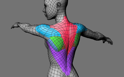 TMS le dos est très touché dans les troubles de la posture