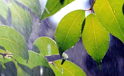 l'air pur la transformation du CO en oxygène