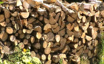 bio-masse - énergie végétale un tas de bois pour chauffer la maison