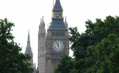 Big Ben l'horloge est visible à travers les arbres